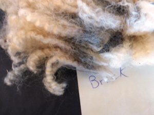 Sample of Brick's Fleece