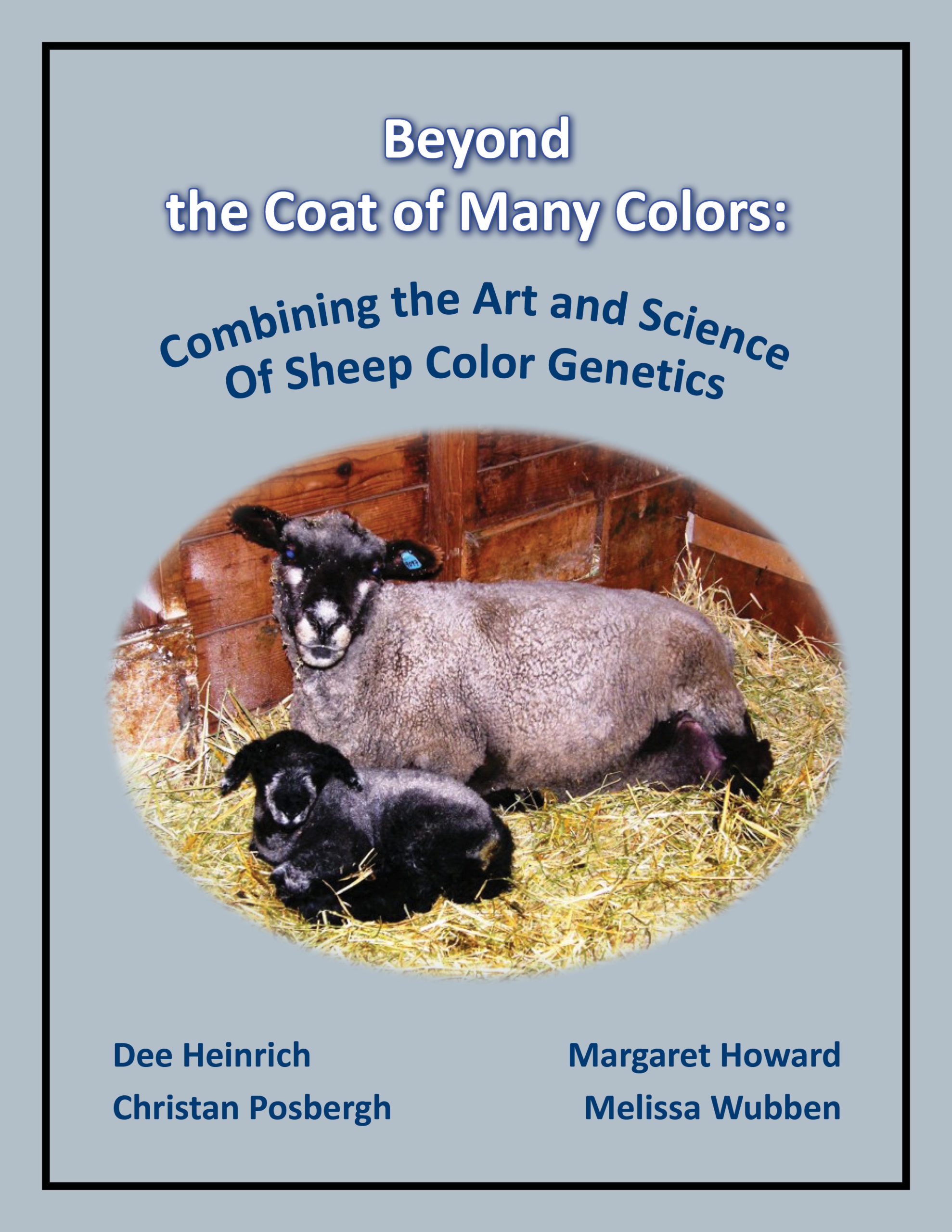 front cover Beyond the coat of many colors